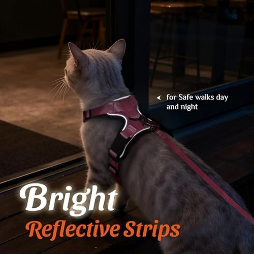 Dooradar Cat Harness and Leash Set, Adjustable and Escape Proof - Image 5