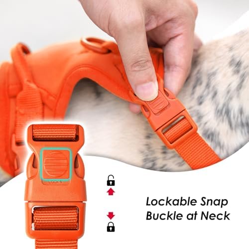 Sunraymascota No Pull Dog Harness - Image 2