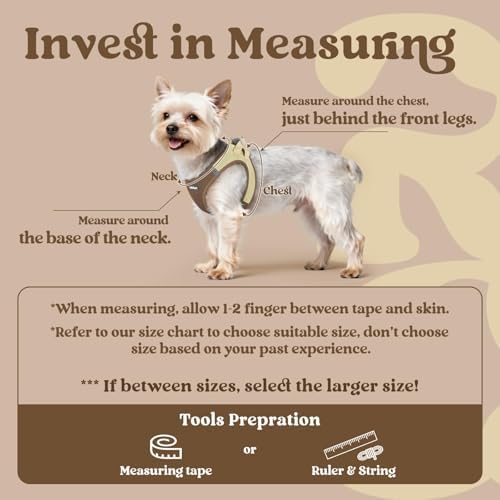 rabbitgoo Step-in Small Dog Harness, Puppy Vest - Image 2