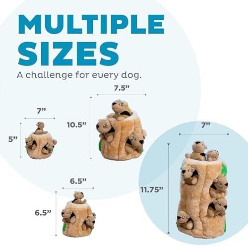 Outward Hound Hide-A-Squirrel Plush Squeaky Dog Toy - Image 5