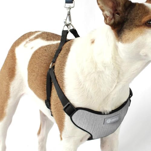 AKC Premium Padded Step-in Dog Harness – Soft Comfort Fit - Image 4