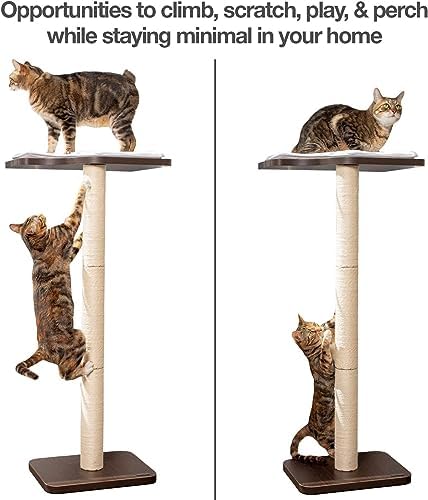 PetFusion Ultimate Cat Window Climbing Perch 45” Tall - Image 4