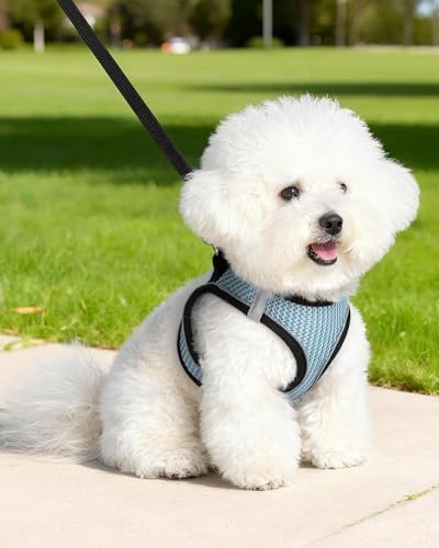 Dog Harness Small Sized and Leash Set, Step in Soft Light Puppy Vest, - Image 6