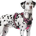 Eagloo Dog Harness No Pull for Large Dogs, Easy On & Off by GoExplorewithEagloo
