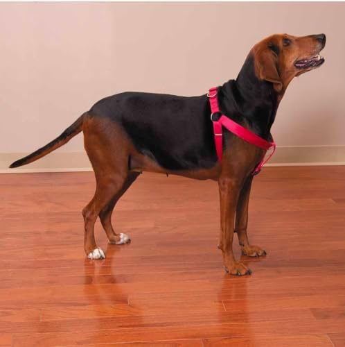 Dog Harness Easy to Use 2 Step Secure Safe Comfortable Firm No Struggle Pull by Unknown