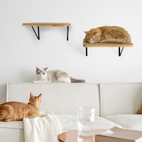 2Pack Wooden Cat Wall Shelves - Image 4