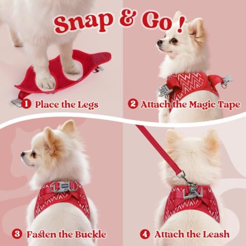 rabbitgoo Dog Harness Small Sized and Leash Set, Step in Soft Vest - Image 2