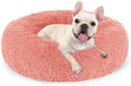 rabbitgoo Calming Cat Beds for Indoor Cats, 27 inches by rabbitgoo