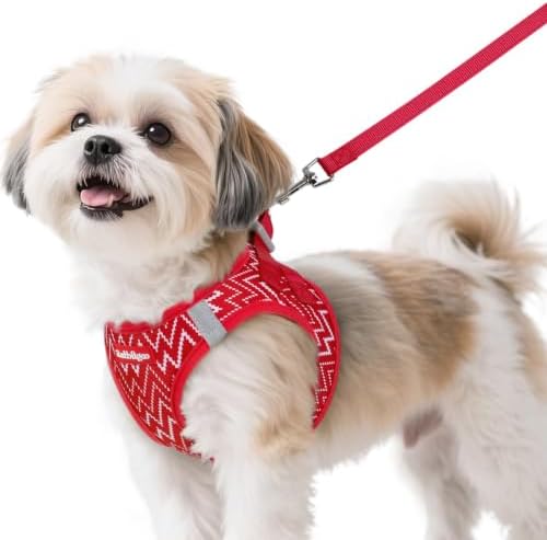 rabbitgoo Dog Harness Small Sized and Leash Set, Step in Soft Vest by rabbitgoo