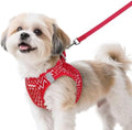 rabbitgoo Dog Harness Small Sized and Leash Set, Step in Soft Vest by rabbitgoo