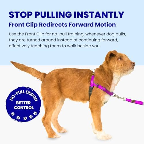 Freedom No Pull Dog Harness - Image 2