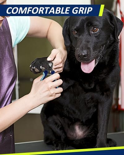 WePet Dog Nail Clippers U10.1, Dog Nail Trimmer Large Breed - Image 6