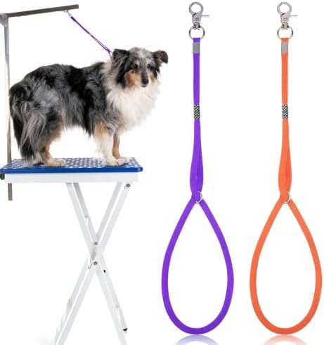 Dog Grooming Leash by Unknown