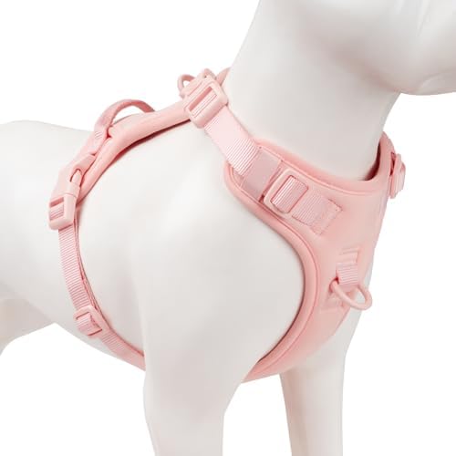 Sunraymascota No Pull Dog Harness by Sunraymascota