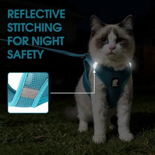 HEYWEAN Cat Harness and Leash - Image 5