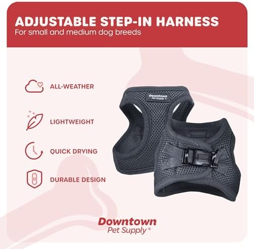 Downtown Pet Supply Step-in Dog Harness – No Pull, Adjustable Padded Mesh - Image 3