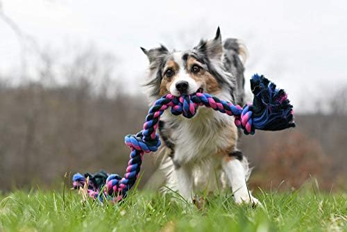 Mammoth Flossy Chews Color Rope Tug – Premium Cotton-Poly Tug Toy - Image 4