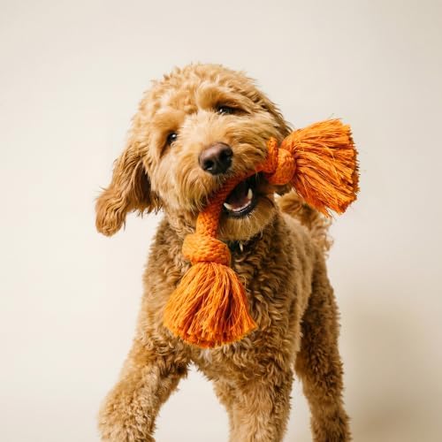 Playology Tug Rope Dog Toys for Medium Dogs - Image 3