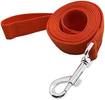 Nylon Dog Training Leash, Traction Rope, 4Ft /5 Foot /6 Feet Long, 5/8 inch 3/4 by TAIDA