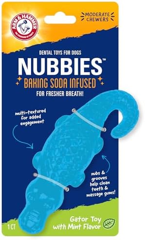 Arm & Hammer Nubbies Gator Dog Dental Chew Toy, Mint Flavor by ArmHammer