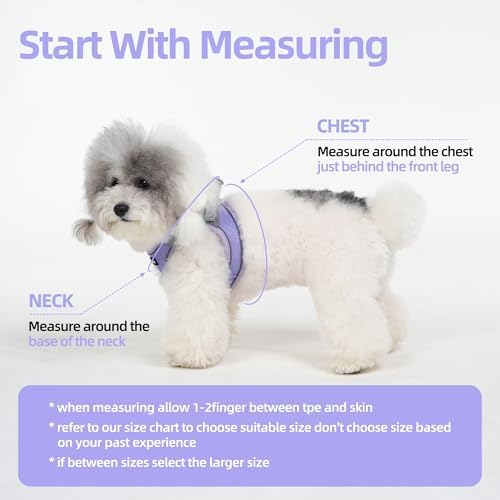 Solmoony Sparkly XS Dog Harness and Leash Set, Step in Soft Light Puppy Vest - Image 2