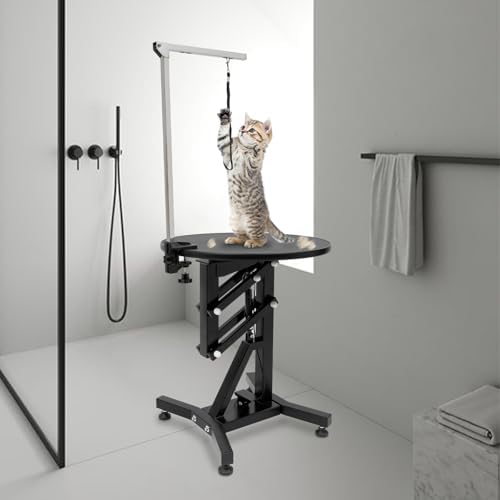 Professional Electric Lift Pet Grooming Table - Image 3