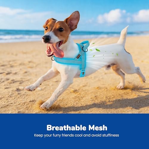 Didog No Pull Dog Harness for Small Dogs, Breathable Mesh Padded - Image 2