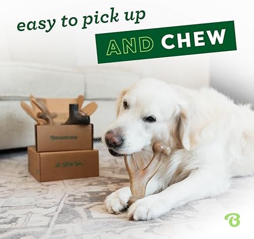 Benebone Medium 4-Pack Dog Toys - Image 2
