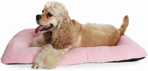 36 Inch Dog Crate Pad Washable, Ultra Soft Cute Dog Crate Bed 36 x 24 by ZihapgpzpPetSupplies
