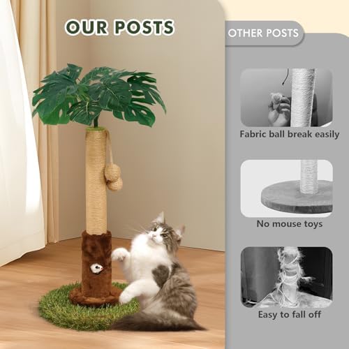 Woochpet 25" Kitten Scratching Post, sisal cat Scratcher Tree - Image 5