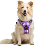 rabbitgoo Dog Harness, No Pull Medium Sized by rabbitgoo