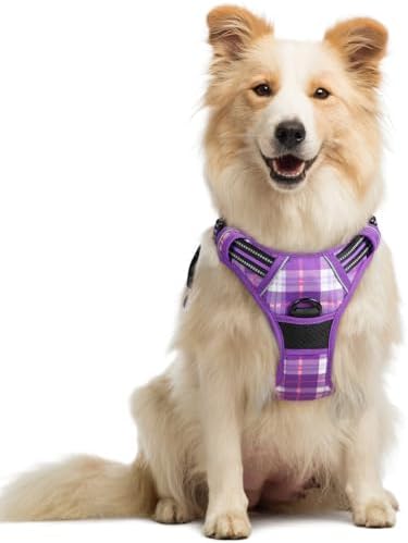 rabbitgoo Dog Harness, No Pull Medium Sized by rabbitgoo