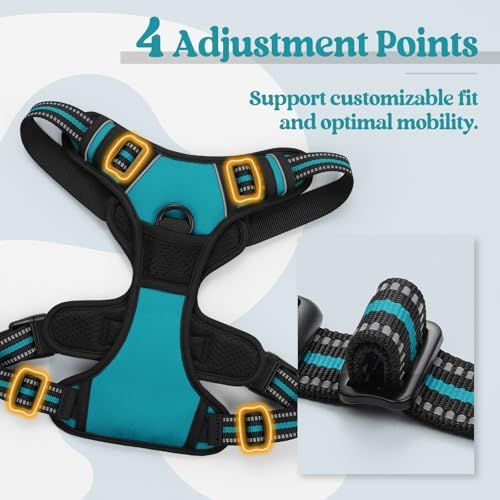 rabbitgoo Dog Harness, No Pull for Small Dogs - Image 4