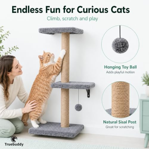 5-in-1 Cat Wall Shelves - Image 5