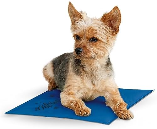 K&H Pet Products Coolin' Pet Pad Blue Small 15 X 11 Inches by KHPetProducts