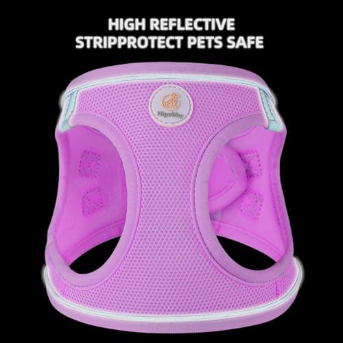Hipubby Dog Harness and Leash Set, No Pull Soft Mesh Puppy Harness - Image 4