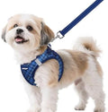 rabbitgoo Dog Harness Small Sized and Leash Set, Step in Soft Vest by rabbitgoo