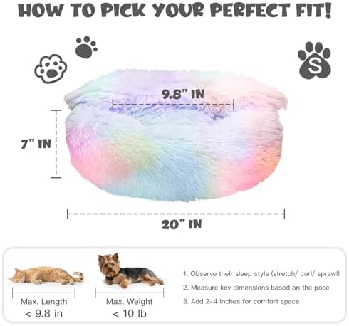 Himax Covered Small Dog Bed - Image 2