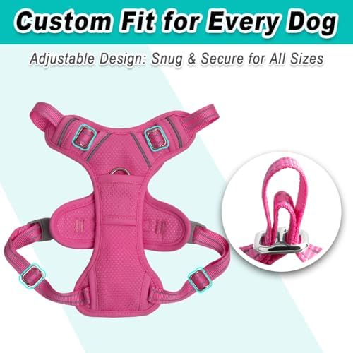 BARKBAY Dog Harness for Small Sized Dog No Pull Mesh 2 Clips Dog Vest - Image 6