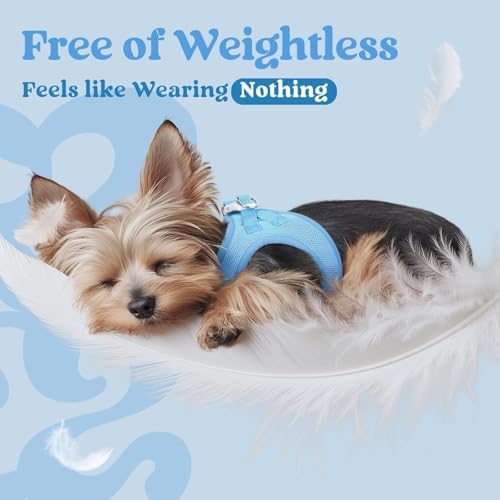 rabbitgoo Step-in Small Dog Harness, Puppy Vest - Image 3