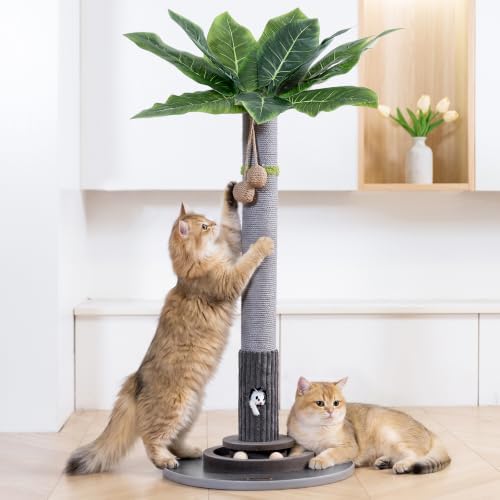 Woochpet 35"Cat Scratching Posts, Interactive Cat Toys by WOOCHPET