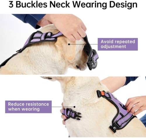 IVY&LANE No Pull Dog Harness for Small Dogs, Reflective Dog Vest Harness - Image 4