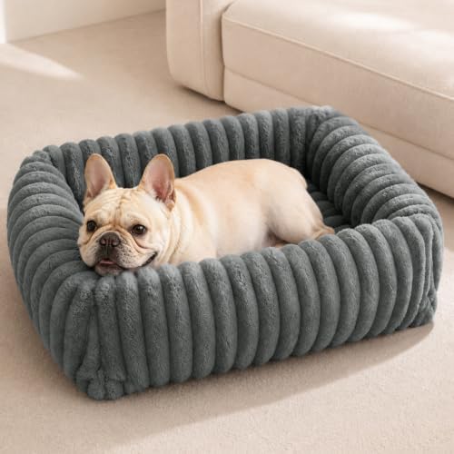 FURTIME Washable Dog Bed for Small Dogs, Cat Beds for Indoor Cats by FURTIME