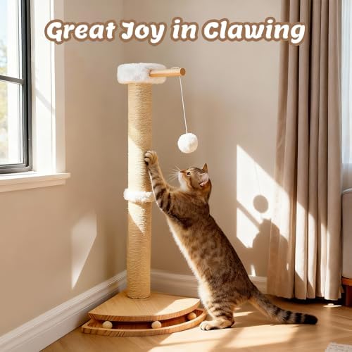 Cat Corner Scratcher with Interactive Ball Toys - Image 6