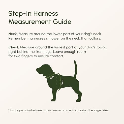Downtown Pet Supply Step-in Dog Harness – No Pull, Adjustable Padded Mesh - Image 5