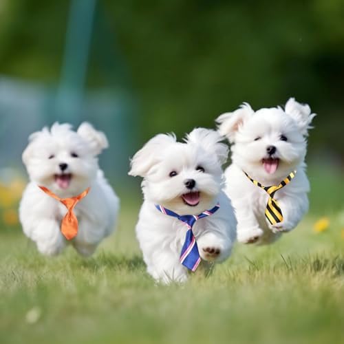 Segarty 60 PCS Small Dog Ties, Assorted Pattern Adjustable Pet Bow Ties for Small Dogs Bows Cats Grooming Bowties Puppy Neckties Festival Party Valentine Photography Birthday Gift Holiday Costumes - Image 5