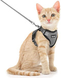 Dooradar Cat Harness and Leash Set, Adjustable and Escape Proof by Dooradar