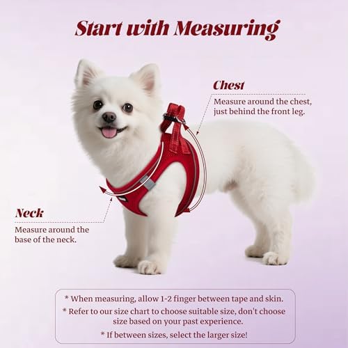 No Pull Dog Puppy Harness and Leash Set Reflective Mesh Vest Medium - Image 2