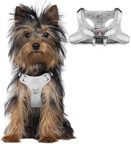 BARKBAY Small Dog Harness, No Pull Puppy Harness, Step-in Dog Vest by BARKBAY