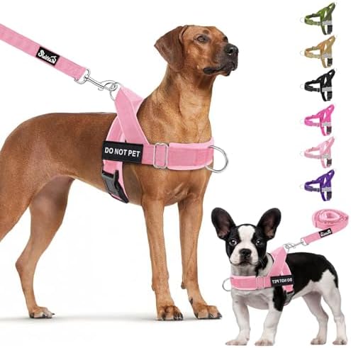 Lukovee No Pull Dog Harness and Leash Set, Soft Padded by Lukovee